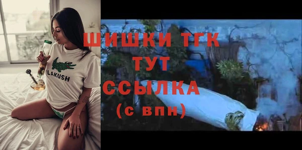 крисы Медногорск