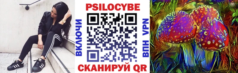 дарк нет состав купить цена Артёмовский Псилоцибиновые грибы Psilocybe